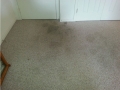 floor_stains_before