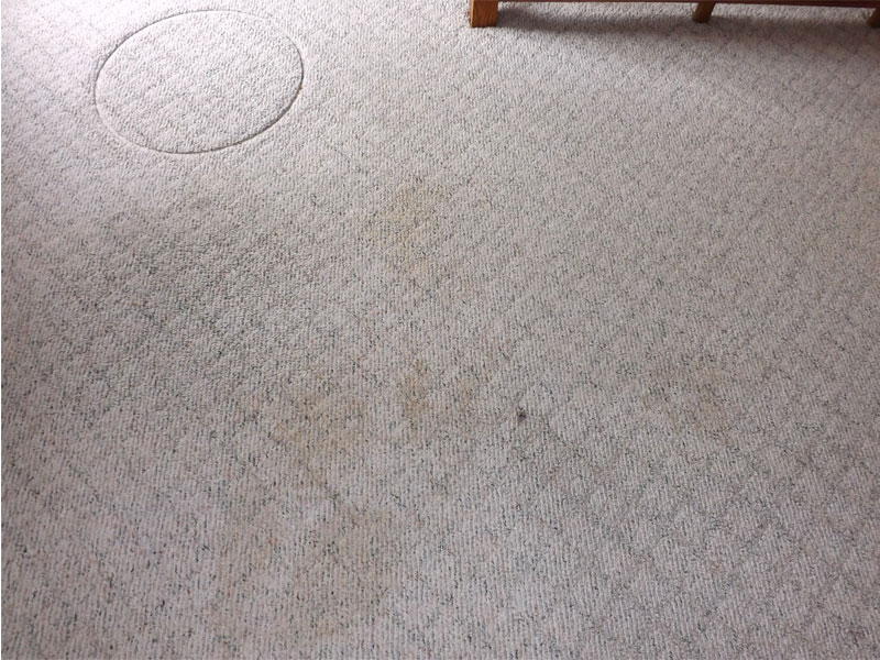 Residential_Stains_Before