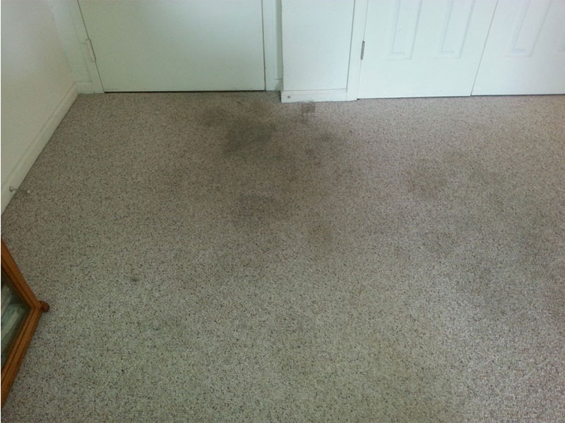 floor_stains_before
