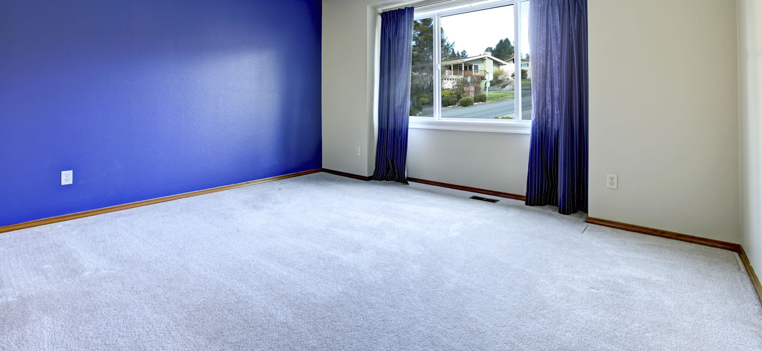 Carpet Cleaning Delaware Vivid Color Carpets